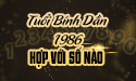 Xem tuổi Bính Dần hợp với số mấy - Câu trả lời từ chuyên gia phong thủy
