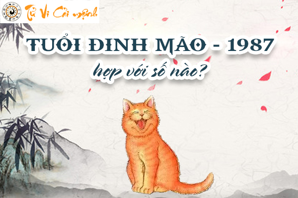 1987-tuoi-dinh-mao-hop-voi-so-nao