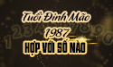 Xem tuổi Đinh Mão sinh năm 1987 hợp con số nào?
