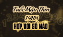Xem tuổi Mậu Thìn 1988 hợp với số nào theo phong thủy