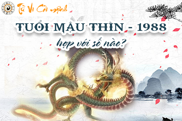 1988-tuoi-mau-thin-hop-voi-so-nao