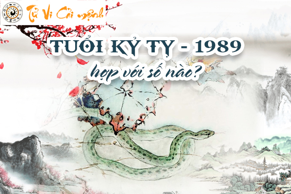 Xem tuổi Kỷ Tỵ năm 1989 hợp với số nào từ chuyên gia tử vi, phong thuỷ