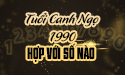 Luận tuổi Canh Ngọ 1990 hợp số nào
