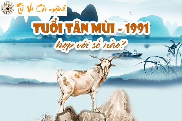 1991-tuoi-tan-mui-hop-voi-so-nao