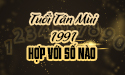 Tuổi Tân Mùi hợp với số nào - Kích phong thủy cải vận tuổi 1991