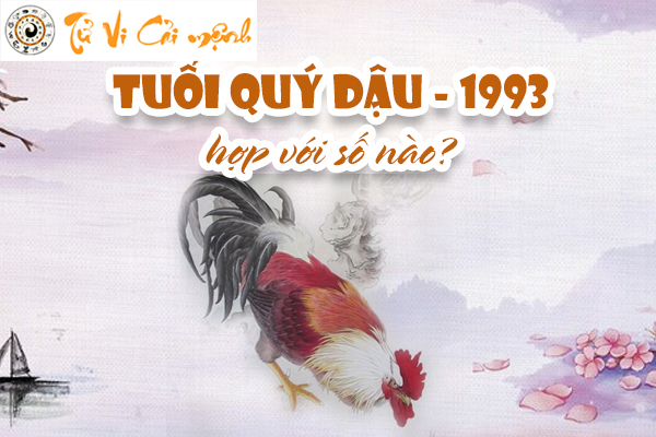 1993-so-hop-tuoi-quy-dau