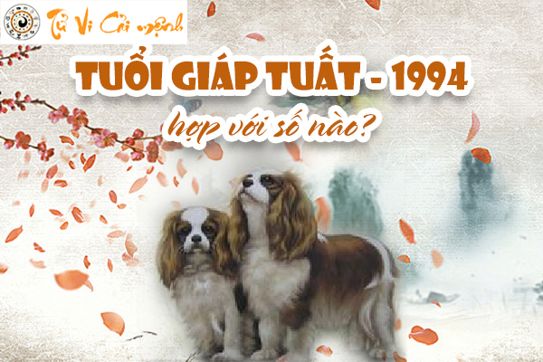 1994-so-hop-tuoi-giap-tuat