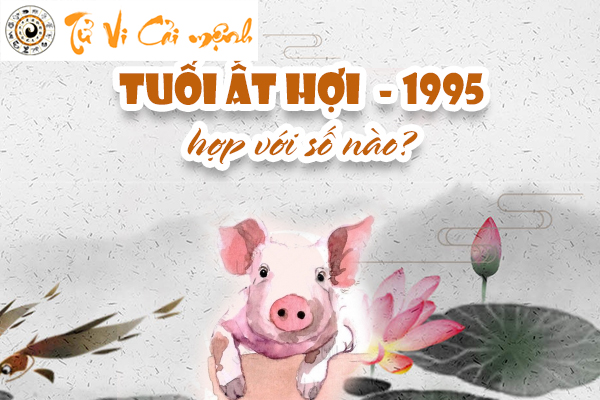 1995-so-hop-tuoi-at-hoi