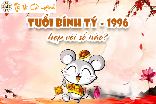 1996-so-hop-tuoi-binh-ty