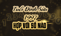 Xem tuổi Đinh Sửu sinh năm 1997 hợp số mấy theo Tử vi, phong thủy