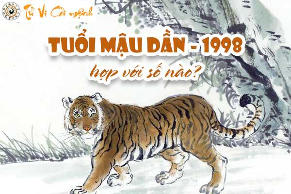 so-hop-tuoi-1998