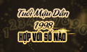 Xem tuổi Mậu Dần 1998 hợp với số nào cùng chuyên gia phong thủy