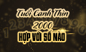 Người sinh năm 2000 hợp số nào để gặp nhiều may mắn