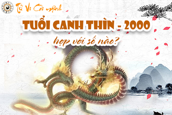 so-hop-tuoi-2000