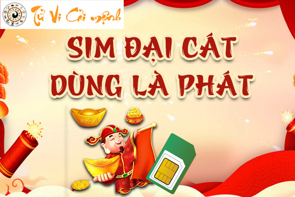 cach-tinh-sim-dai-cat-la-gi