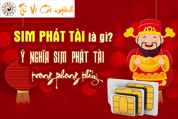 sim-phat-tai-la-gi