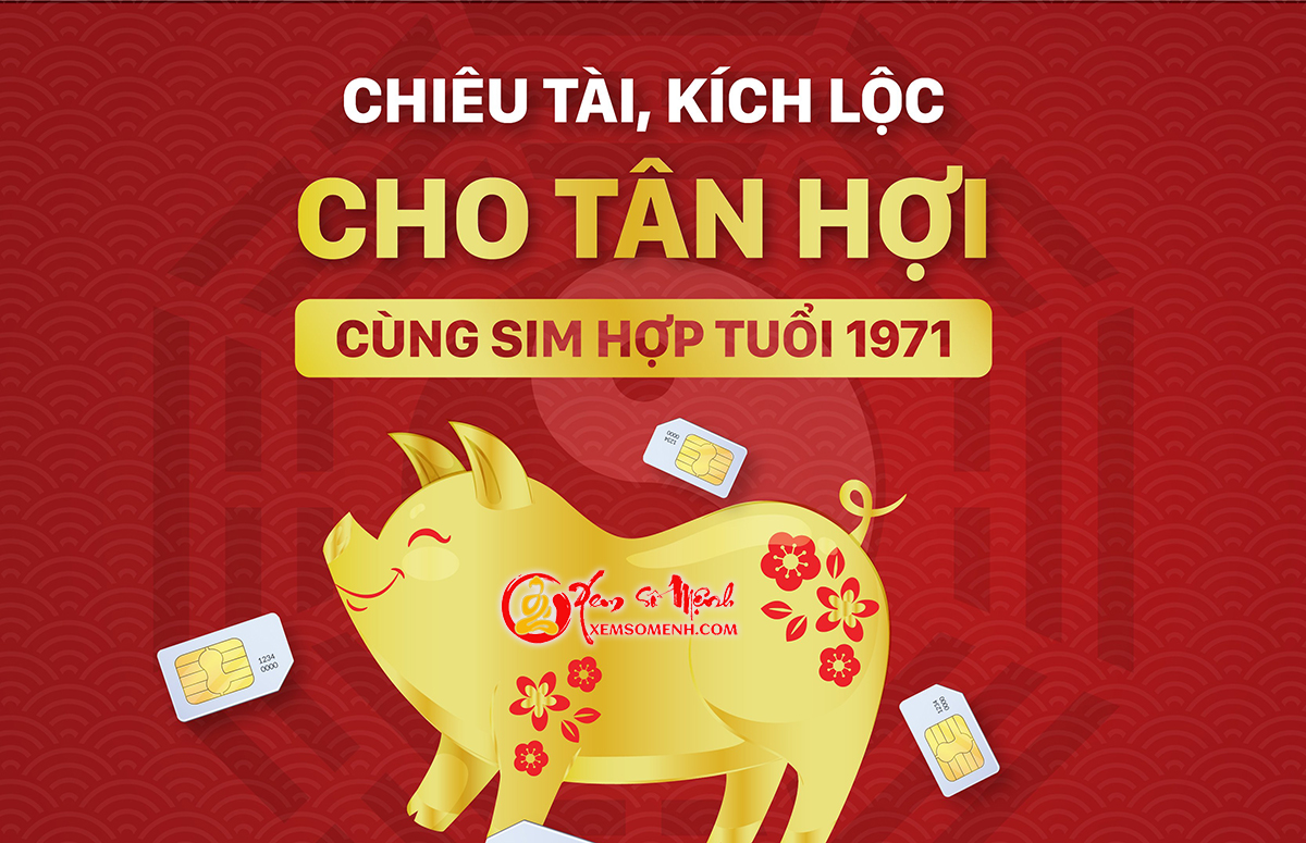 Bật mí cách xem số điện thoại hợp tuổi Tân Hợi 1971 từ thầy phong thủy