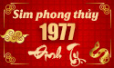 Hướng dẫn cách chọn số điện thoại hợp tuổi 1977 cho tuổi Đinh Tỵ