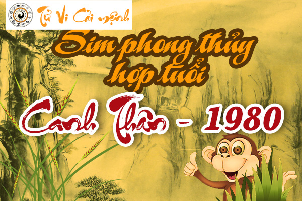 sim-phong-thuy-hop-tuoi-1980