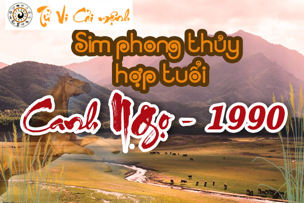 xem-sim-phong-thuy-hop-tuoi-canh-ngo-1990