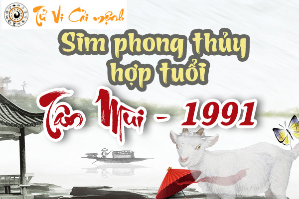xem-sim-phong-thuy-hop-tuoi-tan-mui-1991