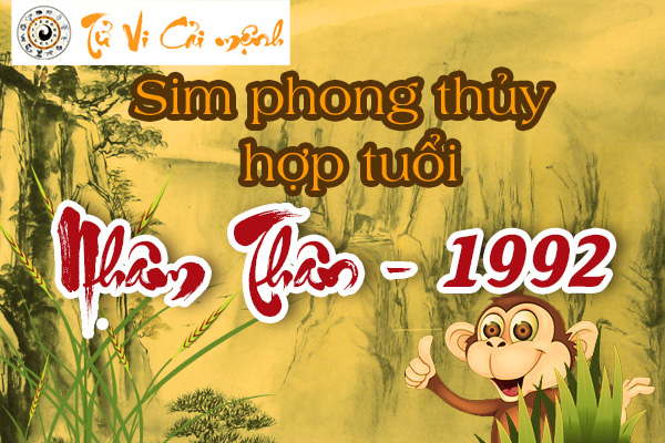 xem-sim-phong-thuy-hop-tuoi-nham-than-1992