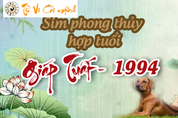 xem-sim-phong-thuy-hop-tuoi-giap-tuat-1994