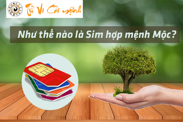 sim-phong-thuy-menh-moc-la-gi