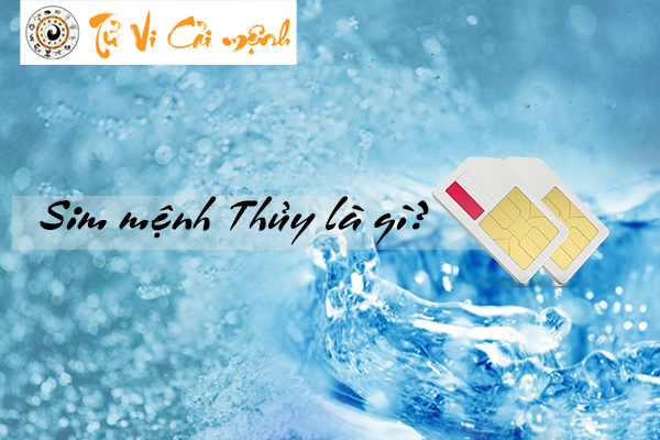 sim-phong-thuy-menh-thuy-la-gi