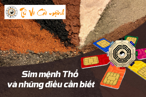 sim-phong-thuy-menh-tho-la-gi