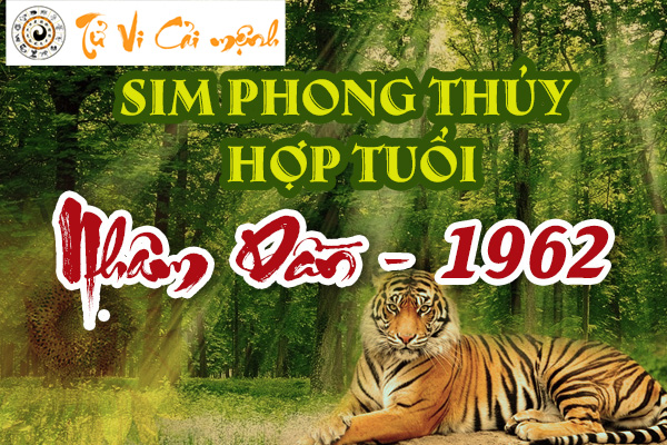 xem-sim-phong-thuy-hop-tuoi-nham-dan-1962