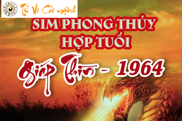 xem-sim-phong-thuy-hop-tuoi-giap-thin-1964