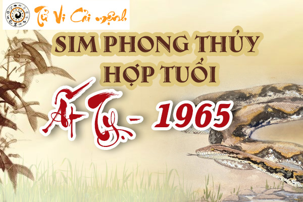 xem-sim-phong-thuy-hop-tuoi-at-ty-1965