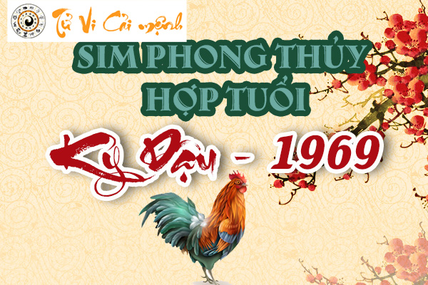 sim-phong-thuy-hop-tuoi-ky-dau-1969