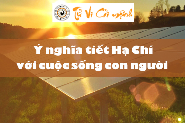 Tiết Hạ Chí là gì? Bắt đầu từ ngày nào và những đặc điểm bạn cần biết