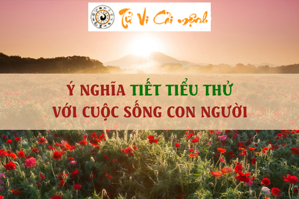 Tiết Tiểu Thử là gì? Bắt đầu từ ngày nào và những đặc điểm bạn cần biết