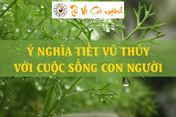 Tiết Vũ Thủy là gì và những điều bạn cần biết