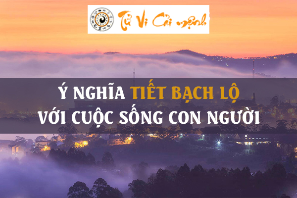 Những điều cần biết về tiết Bạch Lộ #Chi tiết #Chính xác nhất