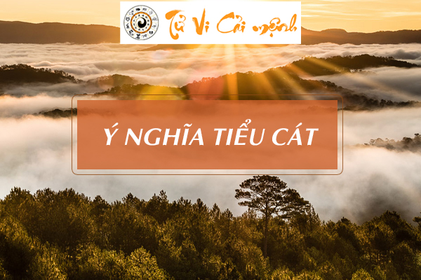 ngay-tieu-cat