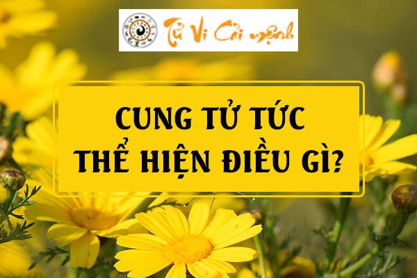 Bình giải về Cung Tử Tức để hiểu rõ hơn về con cái và hậu vận sau này