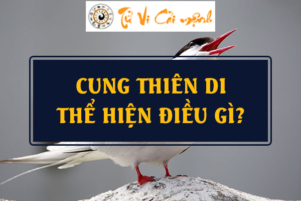 Cung Thiên Di trong lá số tử vi và những thông tin khi bạn đi ra ngoài