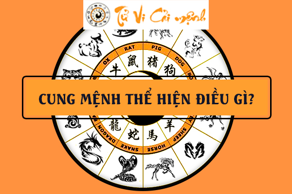 Tìm hiểu ý nghĩa của Cung Mệnh - Thân trong lá số tử vi