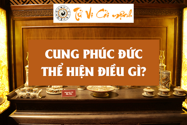 cung-phuc-duc
