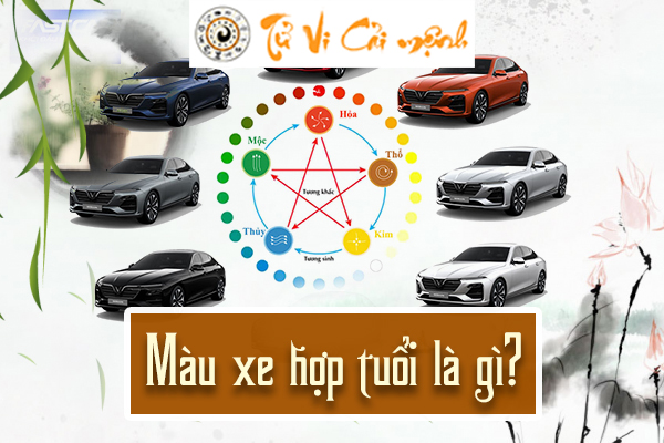 mau-xe-hop-tuoi