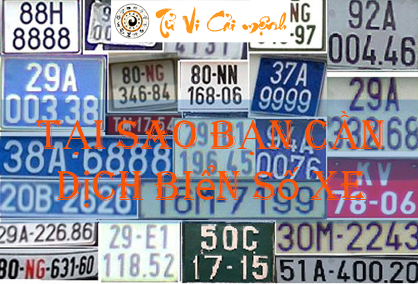 tai-sao-can-dich-bien-so-xe-Xemsomenh