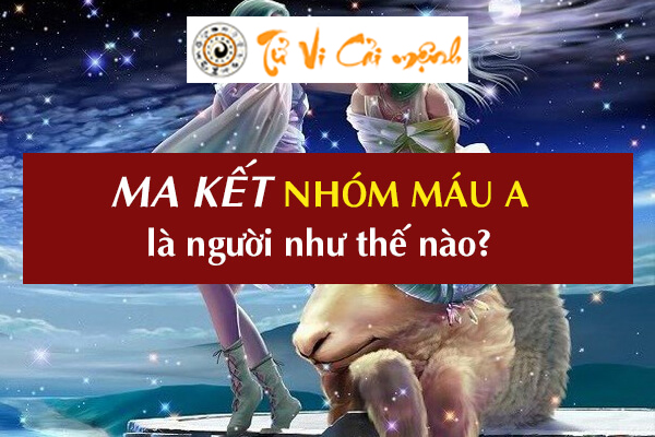 cung-ma-ket-nhom-mau-a-1