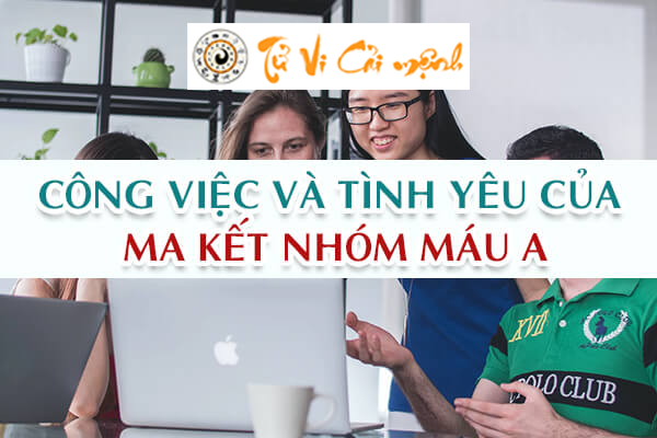 cung-ma-ket-nhom-mau-a-2