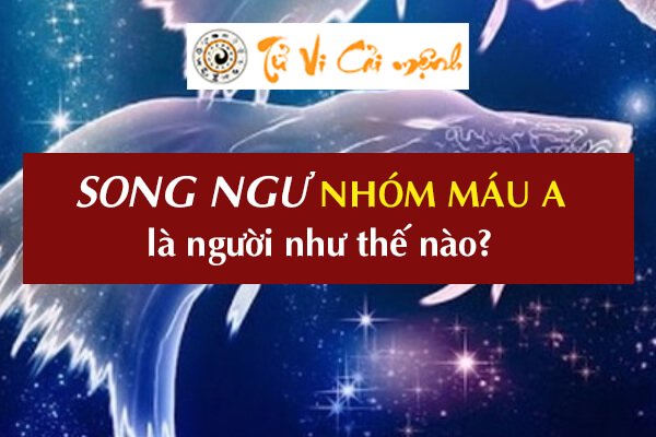 cung-song-ngu-nhom-mau-a-1