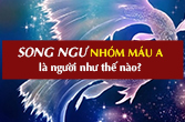 Cung Song Ngư nhóm máu A về tính cách, tình yêu, sự nghiệp, sức khỏe