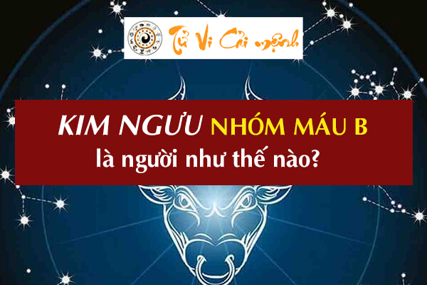 cung-kim-nguu-nhom-mau-b-1